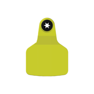 2-Piece Female Tag F3 - Reusable